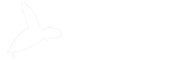 Aggloplast